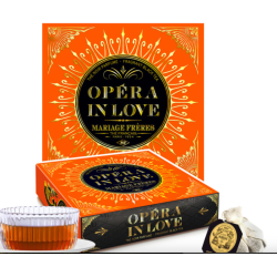 OPERA IN LOVE