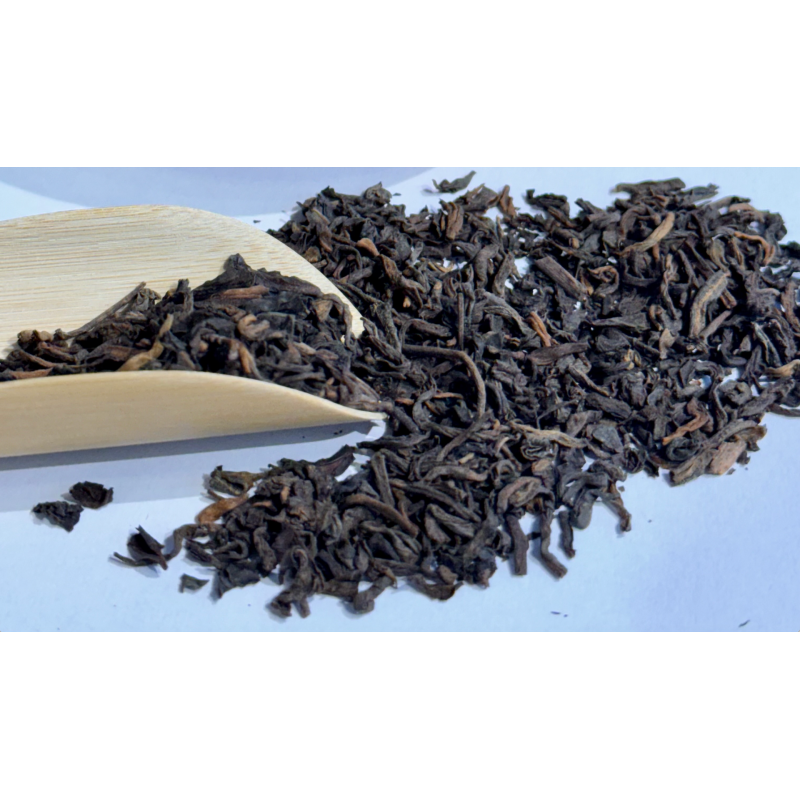 Pu Erh Golden Bud (1995)