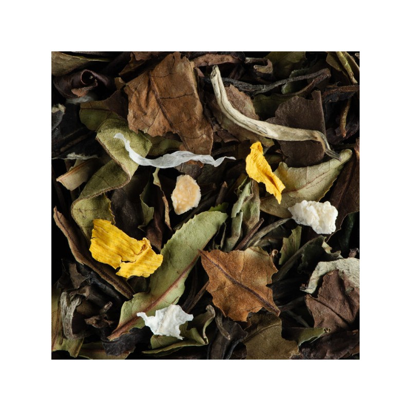 WHITE TEA - BELLA BLANCA