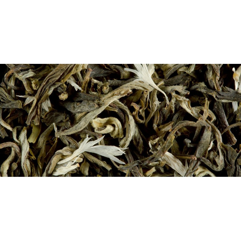 THÉ BLANC - BLANC MYRTILLE