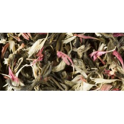 TÈ BIANCO - CHRISTMAS TEA BLANC