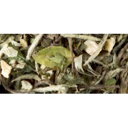 TÈ BIANCO - GREAT EARL GREY