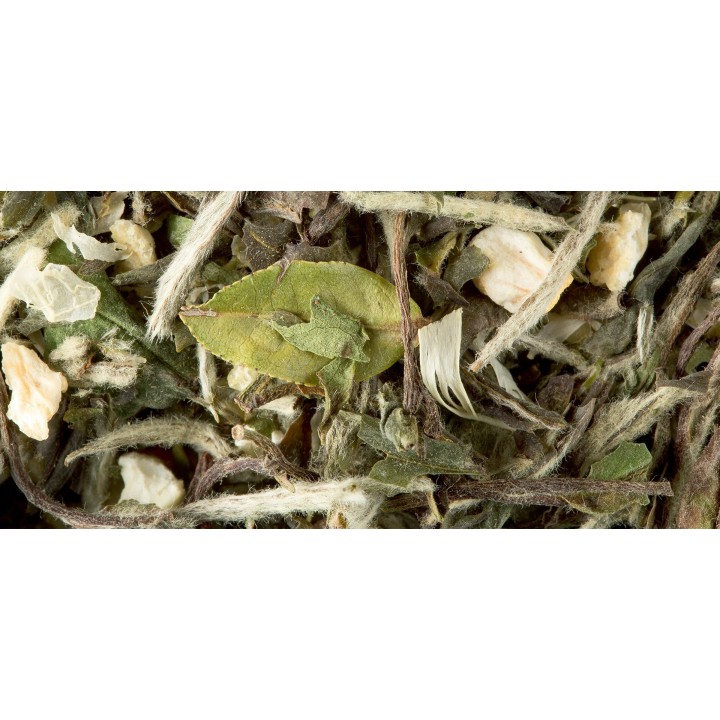 THÉ BLANC - GREAT EARL GREY
