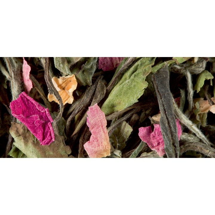 WHITE TEA - PÊCHERS EN FLEURS
