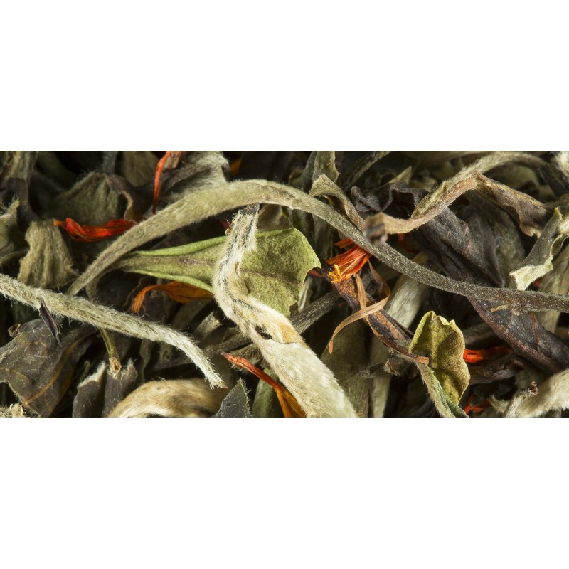 TÈ BIANCO - POIRE MARRON GLACE