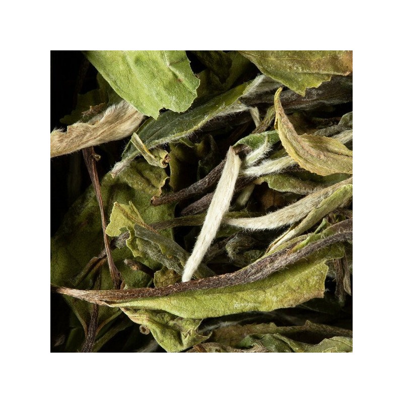 CHINA TEA - PAÏ MU TAN PREMIUM