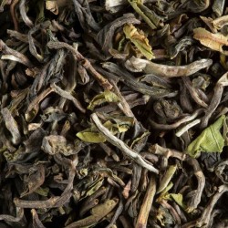 TÈ DELL'INDIA - DARJEELING 1ST FLUSH PHUGURI F.T.G.F.O.P.