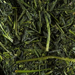 THÉ DU JAPON - SENCHA FUKAMUSHICHA CHIRAN