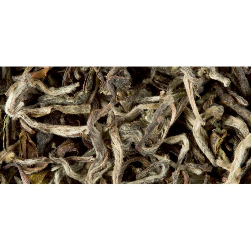 NEPALESE TEA - HIMALAYA SHANGRI-LA