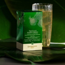 ICED TEA HAPPY GREEN - BOX OF 6 TEA BAGS - DAMMANN FRÈRES