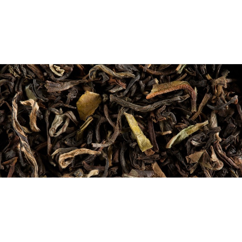 BLACK TEA - ALTITUDE