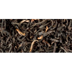 BLACK TEA - ASSAM G.F.O.P.