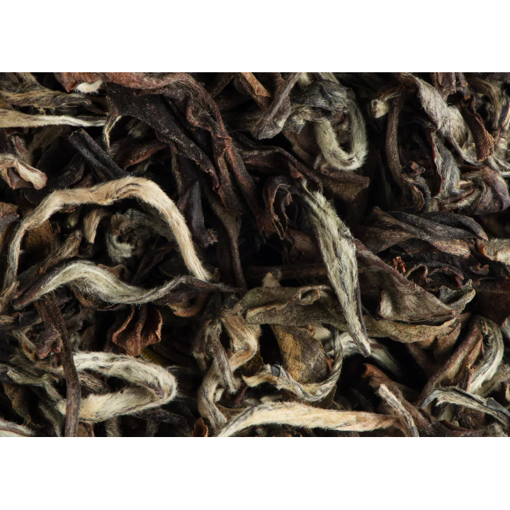 BLACK TEA - AYUSH MOONLIGHT