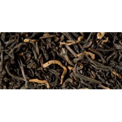 THÉ NOIR - EARL GREY DÉTHÉINÉ