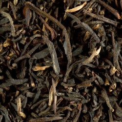 BLACK TEA - SMOKEY CROCODILE