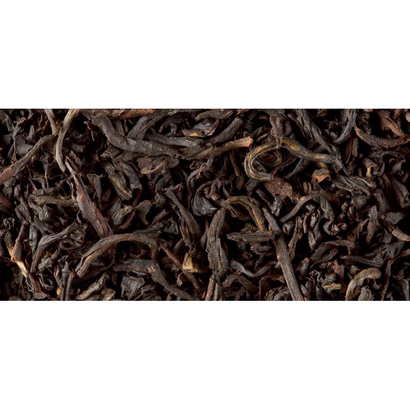 BLACK TEA - SMOKEY LAPSANG