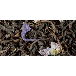 BLACK TEA - VIOLET