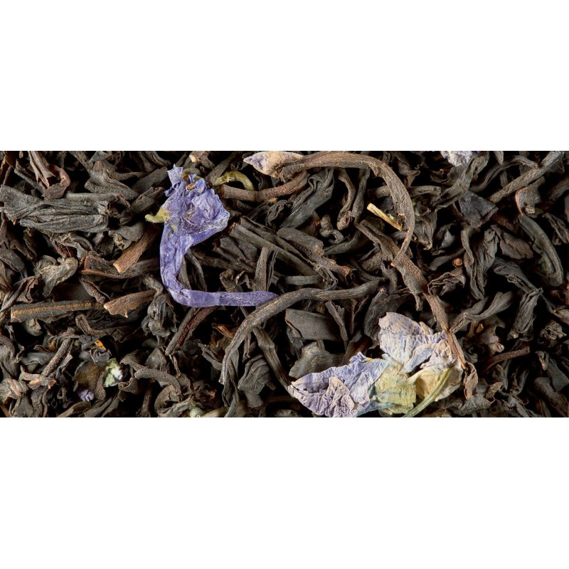 BLACK TEA - VIOLET