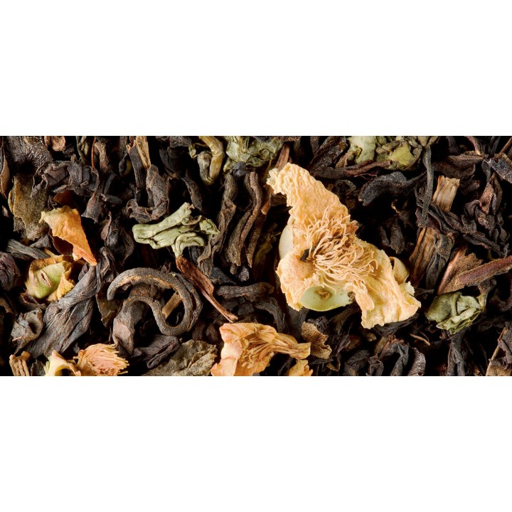 OOLONG-TEE -  KASTANIE