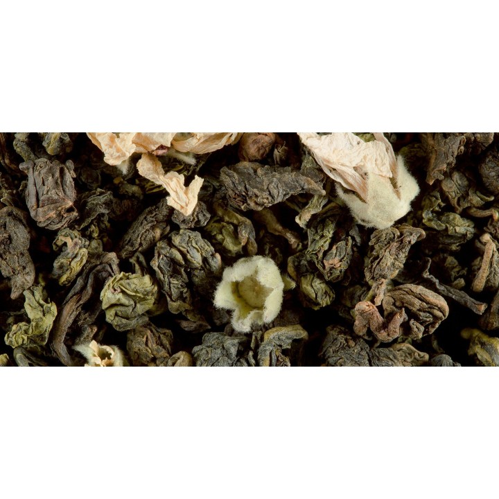 OOLONG TEA - WEEK-END A PARIS