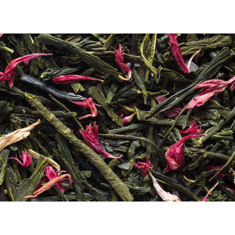 GREEN TEA - BLOSSOM SEASON