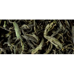 THÉ VERT DE CHINE - MAO FENG