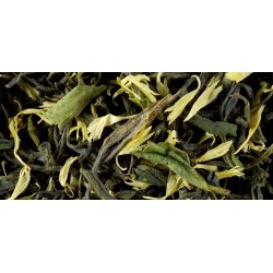 THÉ VERT - EARL GREY VERT PRIMEUR