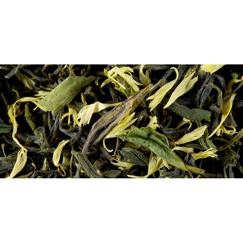 GRÜNTEE - EARL GREY VERT PRIMEUR