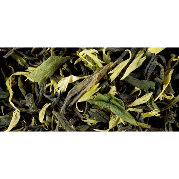 GREEN TEA - EARL GREY VERT PRIMEUR