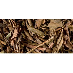 THÉ VERT - HOUJICHA