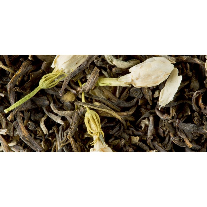 GREEN TEA - JASMINE CHUNG HAO