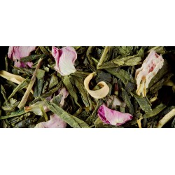 GREEN TEA - NUIT A VERSAILLES