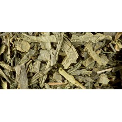 GRÜNTEE - CHINESISCHER SENCHA