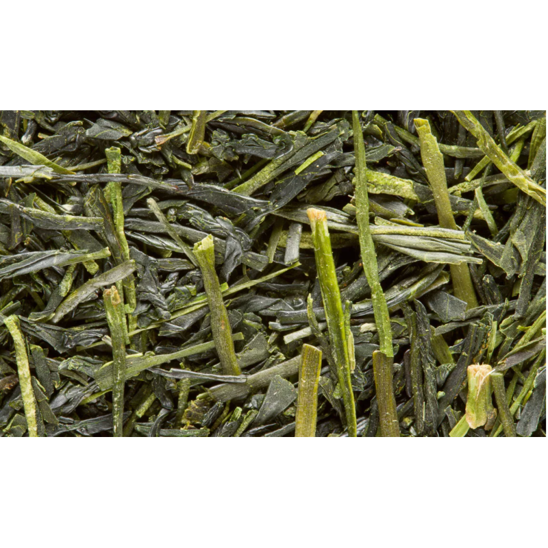 GRÜNTEE - SENCHA TENSU
