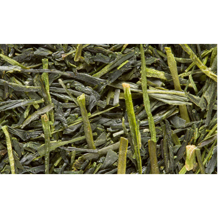 GRÜNTEE - SENCHA TENSU