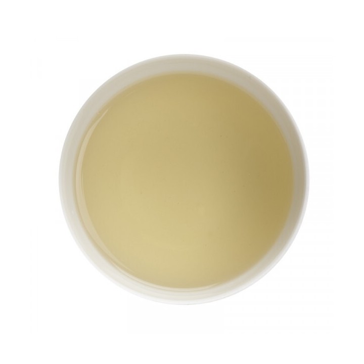 TÈ BIANCO - BELLA BLANCA