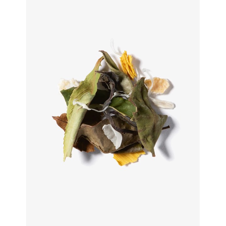 WHITE TEA - BELLA BLANCA