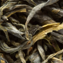 Gu Zhang Mao Jian - Tè Verde