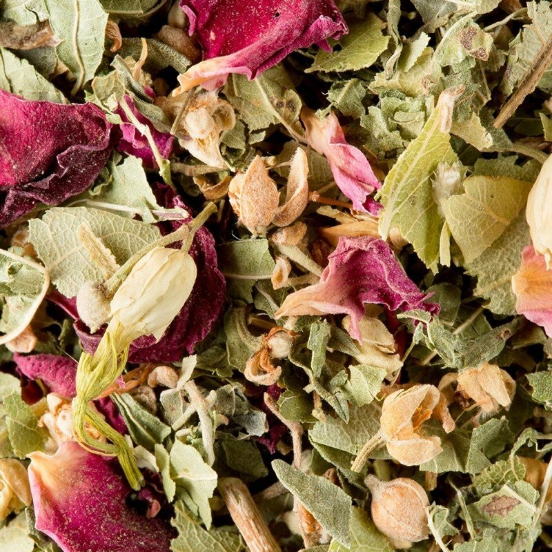 INFUSO - BALI