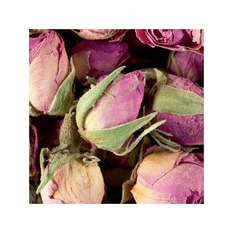 INFUSION - BOUTONS DE ROSES