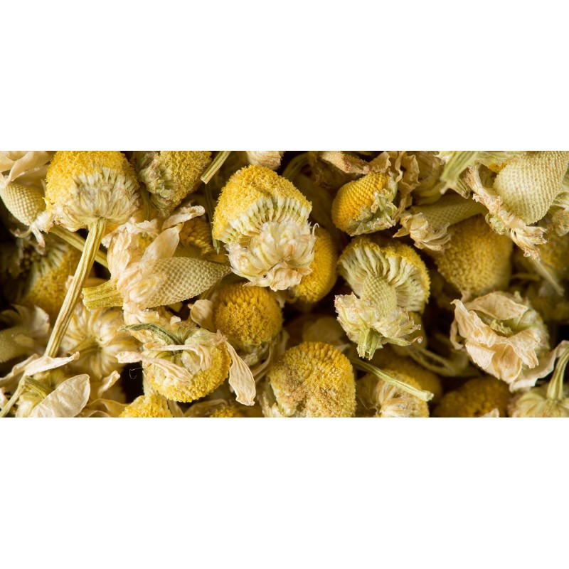 INFUSO - CAMOMILLA