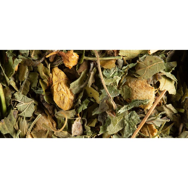 HERBAL INFUSION - MAGIC GINGER