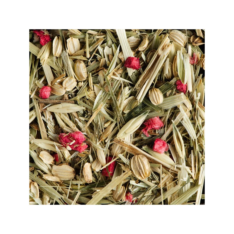 INFUSIONS - CEREAL LOVER FRAMBOISE