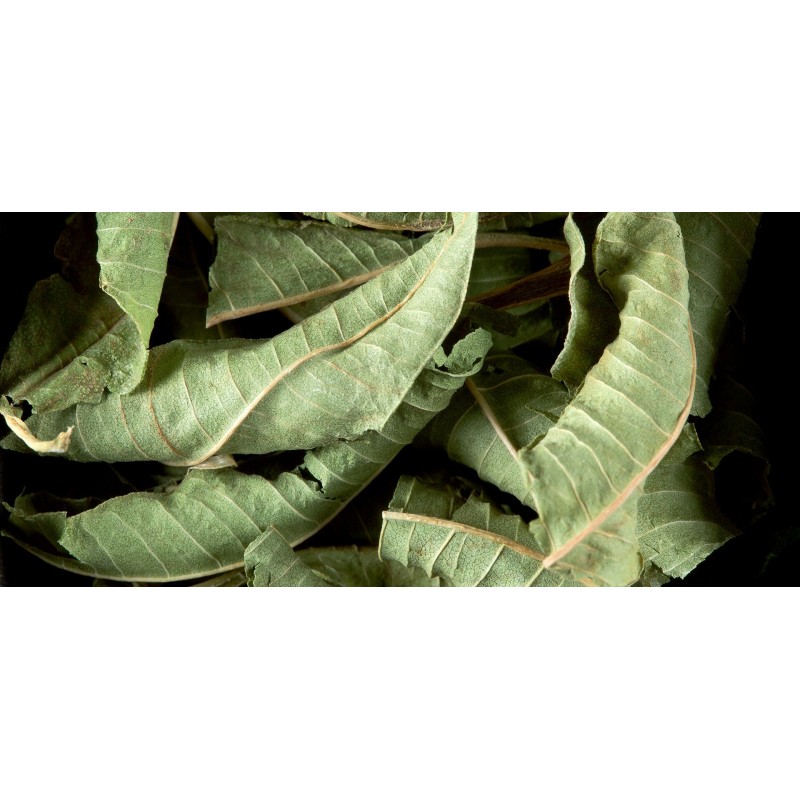 HERBAL INFUSION - VERBENA