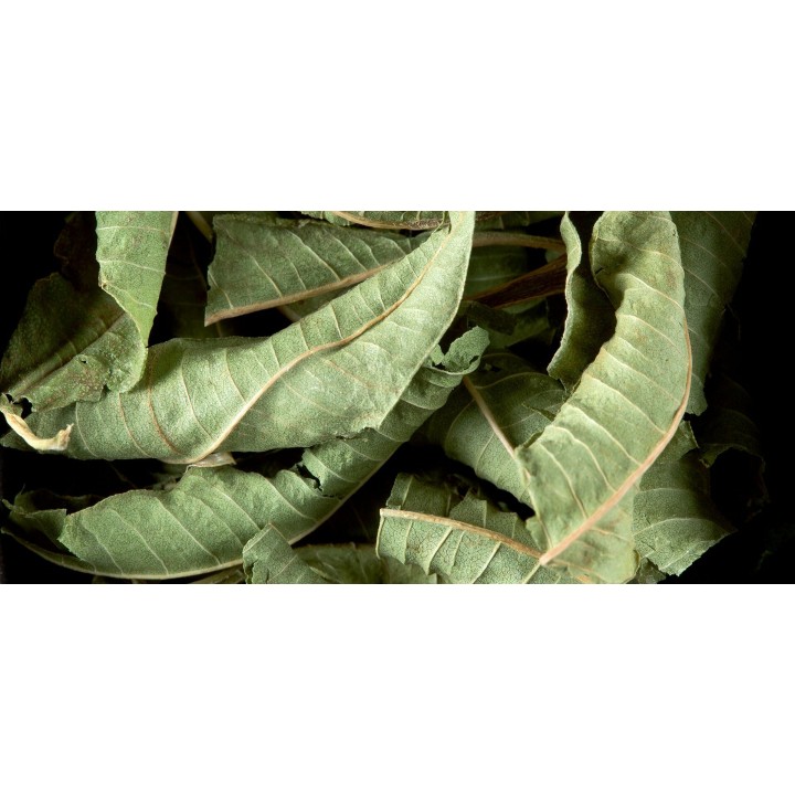 KRÄUTERTEE - EISENKRAUT