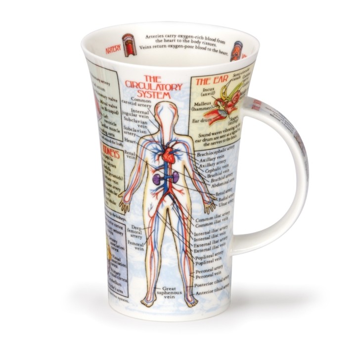 Becher Dunoon Glencoe 0.5L - Bodyworks
