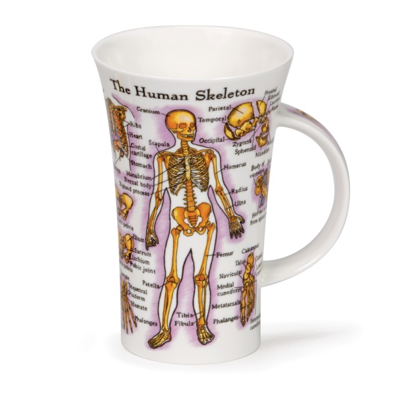 Becher Dunoon Glencoe 0.5L - human body