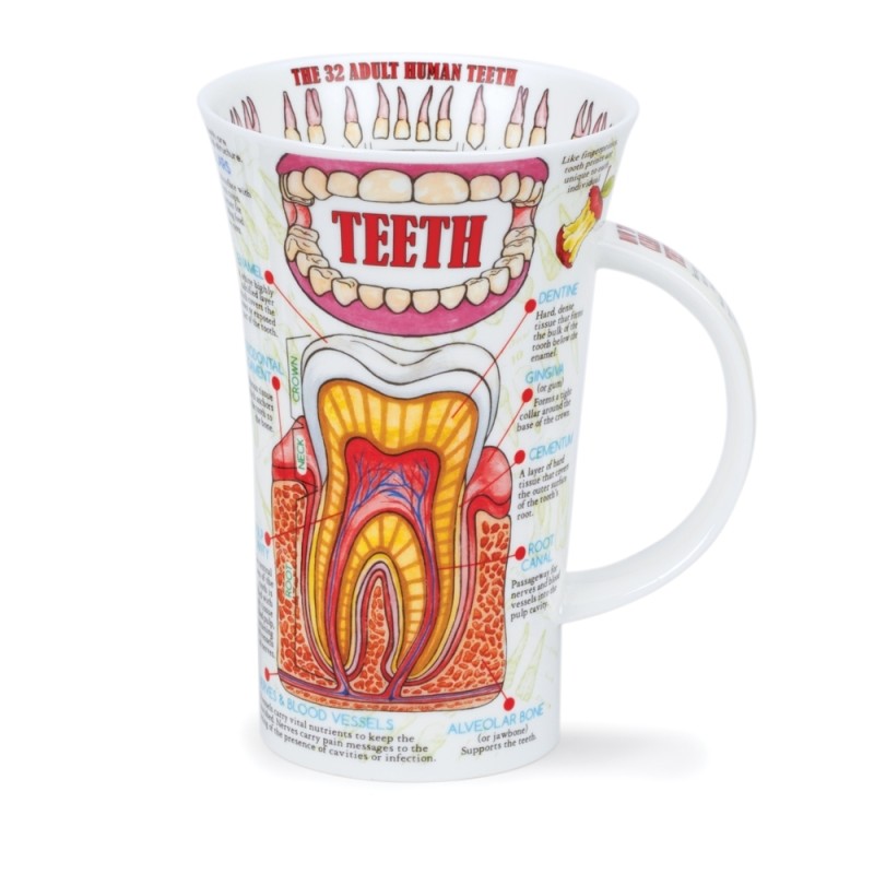 Becher Dunoon Glencoe 0.5L - Teeth