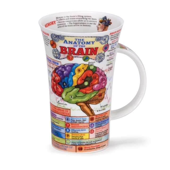 Becher Dunoon Glencoe 0.5L - The Brain