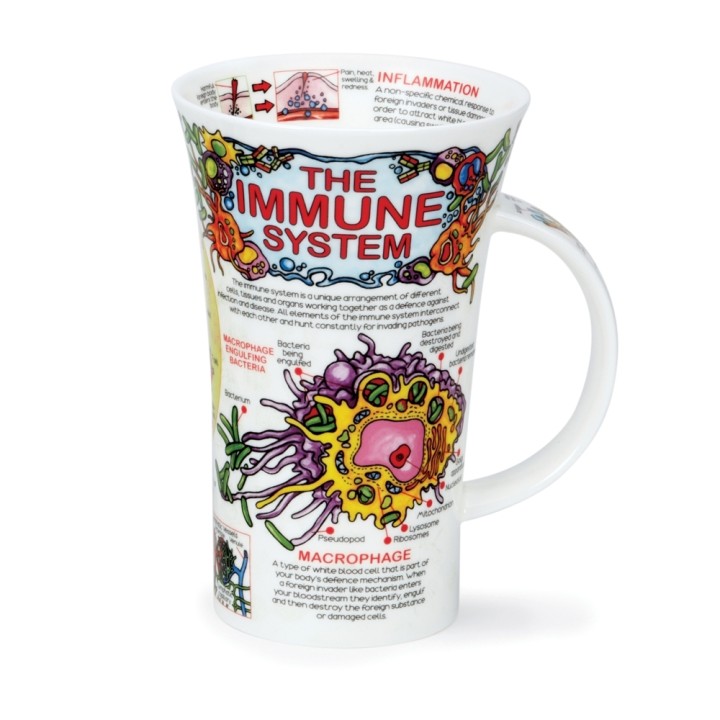 Becher Dunoon Glencoe 0.5L - The Immune System